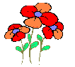 wpe3.gif (1794 bytes)